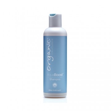 Shampoo